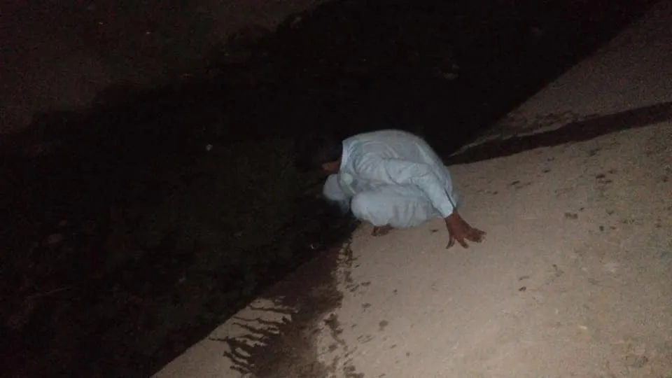 Green Seekers Activity